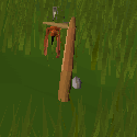 Bird Snare success