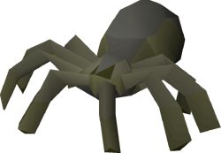 Spider