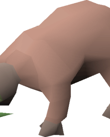 Rare Rare