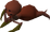 Abyssal leech