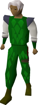 Green d'hide armour equipped
