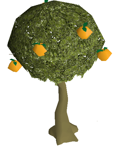 photos of tree