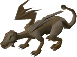 Bronze dragon