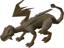 Bronze dragon
