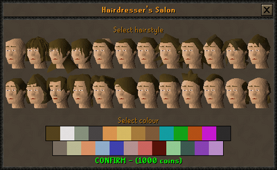 Hairdresser's Salon interface
