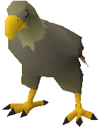 Jungle eagle
