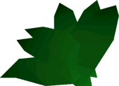 Guam leaf detail