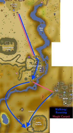 Agility Pyramid Route