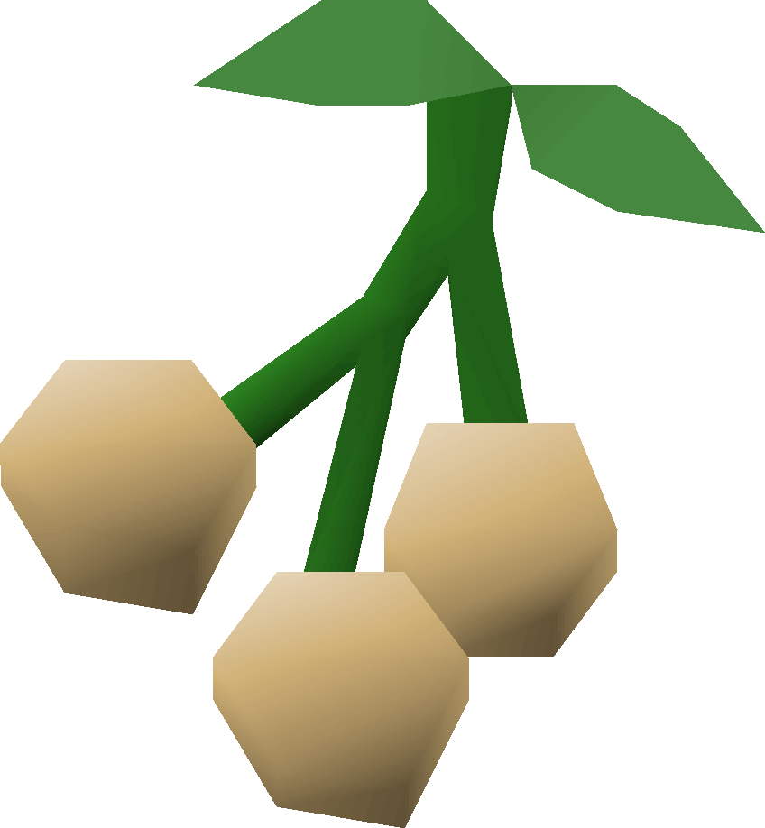Poison ivy berries Old School RuneScape Wiki FANDOM powered by Wikia