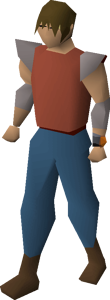 Zenyte bracelet equipped