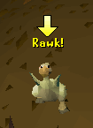 Chompy bird escapes