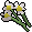 White flowers