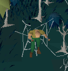 Success spyder!