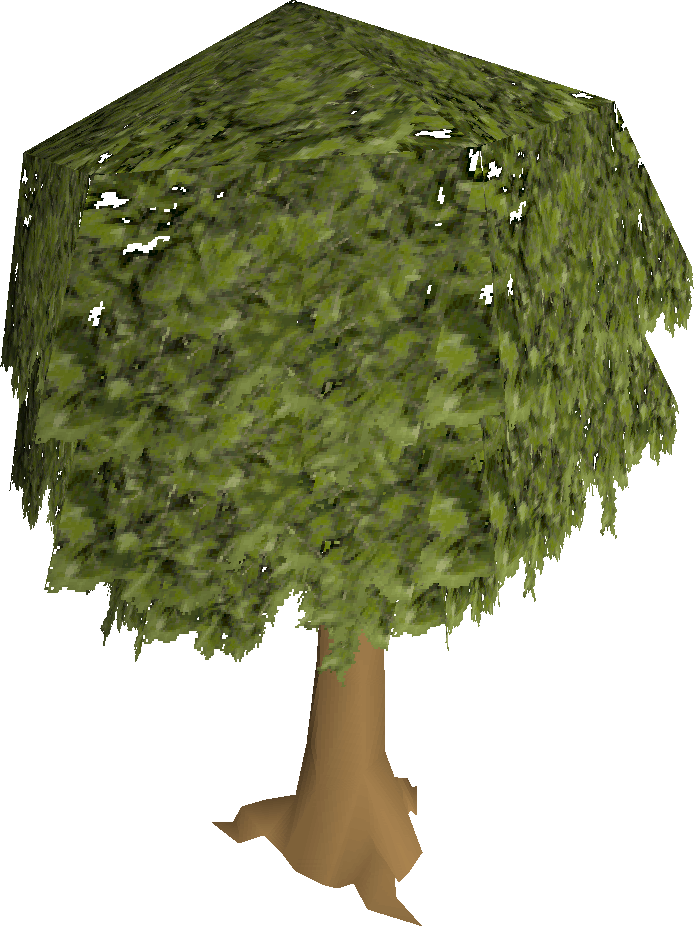 photos of tree