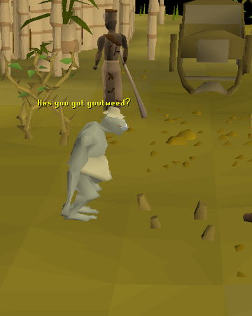 My Arm S Big Adventure Quick Guide Old School Runescape Wiki