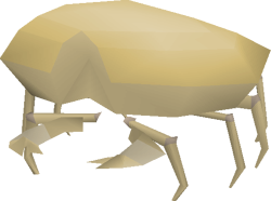 Sand Crab
