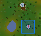 Red chinchompa hunting ground location