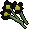 Black flowers