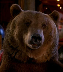 Archie-the-bear-dr-dolittle-2-6.09