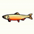Sweetsalmonsoda's avatar