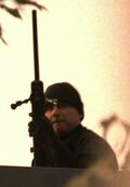 Powellskiller