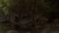 2x11 rock pool