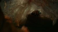 In1x05 dead body