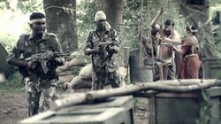 In1x15 LTFE soldiers