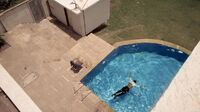In1x16 body in pool