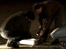 6x14 7.03pm hirsute, flashlight