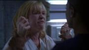 4x11d