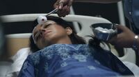 In1x20 Trisha treated