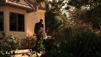 6x05 Pinecrest