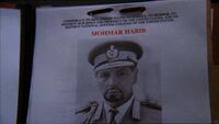 MohmarHabibProfile