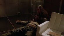 8x13 Dana Strangles Prady