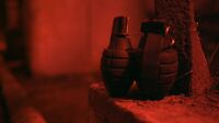 In1x21 grenades
