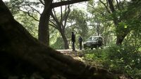 In1x19 national park