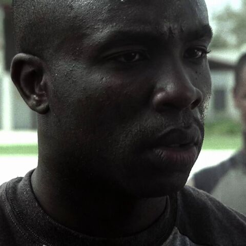 File:Teshon.jpg