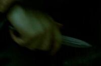 8x22 knife