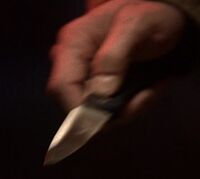 3x15 knife