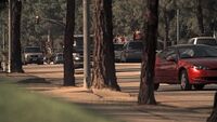 1x13 Palmer driving