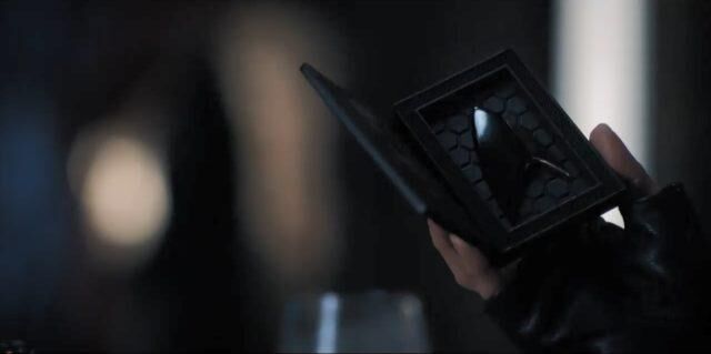 Section 31 Badge