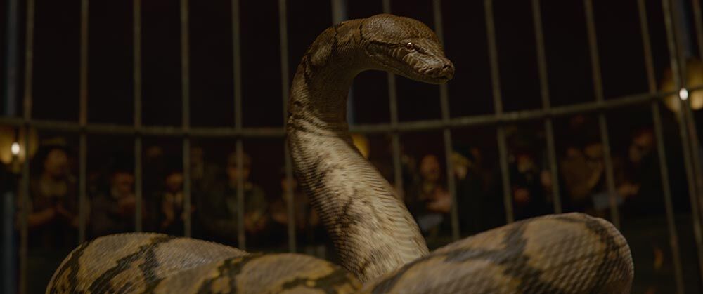 Nagini Crimes of Grindelwald