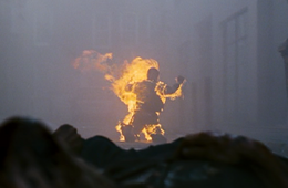 DoyleBurningToDeath