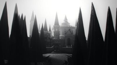 QUIZ: Discover Your Ilvermorny House