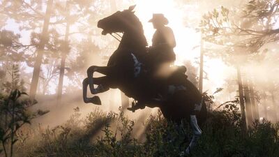 'Red Dead Redemption 2' Horses: How Grooming Leads to Zooming