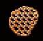 Fish Net