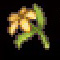 Yellowflower