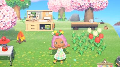 Behind the Fandom | Animal Crossing