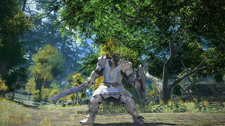 Paladin from Final Fantasy XIV Online